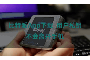 比特派App下载  用户私钥不会离开手机