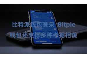 比特派钱包登录  Bitpie钱包还支撑多种考据相貌