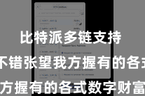 比特派多链支持  用户不错张望我方握有的各式数字财富