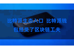 比特派生态入口 比特派钱包经受了区块链工夫