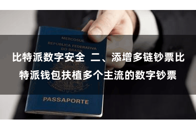 比特派数字安全  二、添增多链钞票比特派钱包扶植多个主流的数字钞票