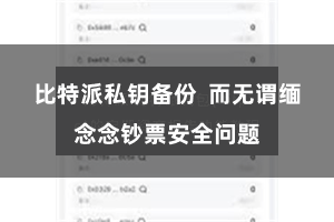 比特派私钥备份  而无谓缅念念钞票安全问题