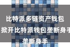 比特派多链资产钱包  掀开比特派钱包垄断身手