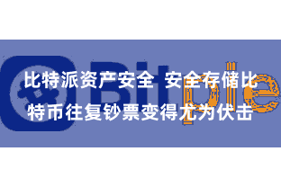 比特派资产安全  安全存储比特币往复钞票变得尤为伏击