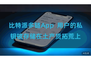 比特派多链App  用户的私钥被存储在土产货拓荒上