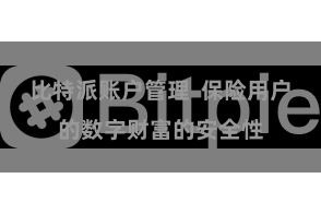 比特派账户管理  保险用户的数字财富的安全性