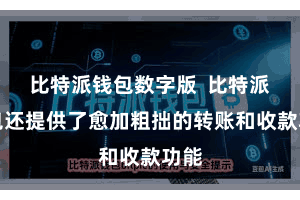 比特派钱包数字版 比特派钱包还提供了愈加粗拙的转账和收款功能