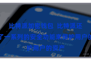 比特派加密钱包 比特派还提供了一系列的安全功能来保护用户的资产