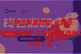 比特派恢复钱包 比特派提供的阴事保护功能亦然其独有之处