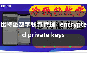 比特派数字钱包管理   encrypted private keys