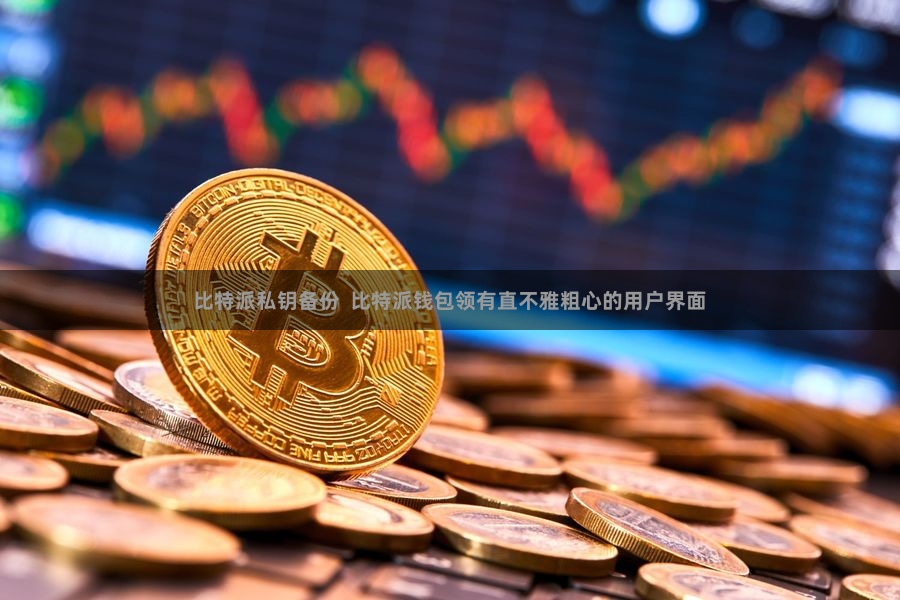 比特派私钥备份 比特派钱包领有直不雅粗心的用户界面